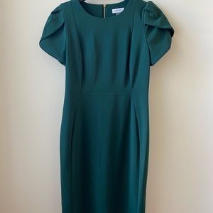 Calvin Klein Tulip Sleeve Dress Size 12